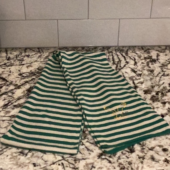 American Eagle Outfitters Accessories - American Eagle Cozy scarf, NEW condition. Ready to wear🧣